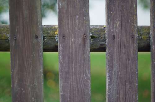 Fence Wood Weathered Paling
