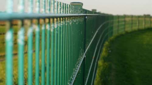 Fence Green Endless Barrier Grid Border Fenced