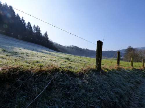 Fence Freezing Ripe Frozen Barbed Wire Morning