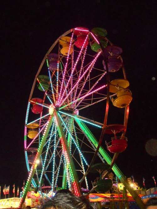 Ferris Wheel Carnival Fair State Fair