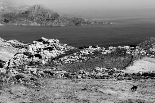 Field Seaside Crete Black And White