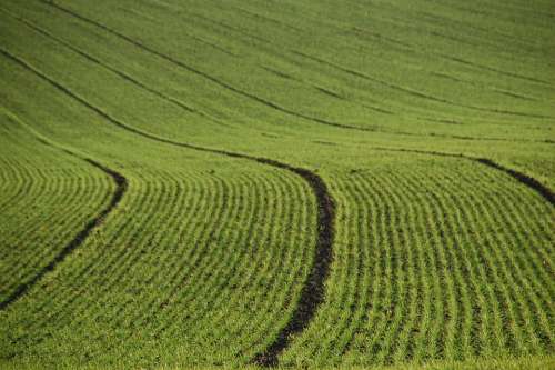 Field Agriculture Lines Furrows