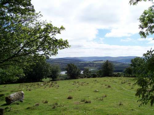 Field View County Wicklow Ireland Nature Pasture