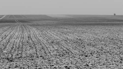 Field Nature Landscape Winter Black And White Cold