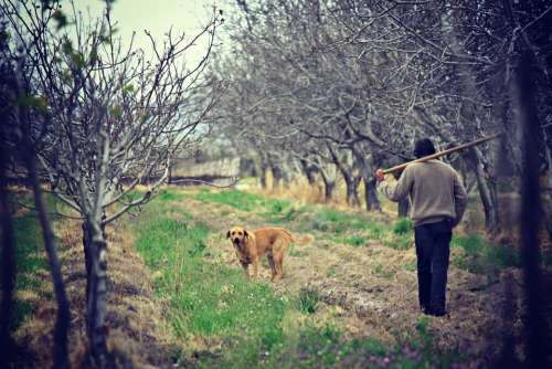 Field Agriculture Nature Man Worker Fields Dog