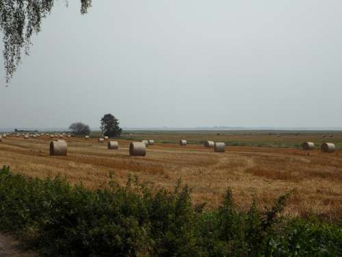 Fields Hay Straw Bales Farm Field Yellow Dry