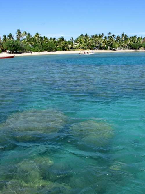 Fiji Boat Beach Palm Trees Vacations Dream Holiday