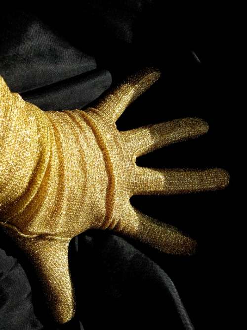 Fingers Glove Gold Shadow