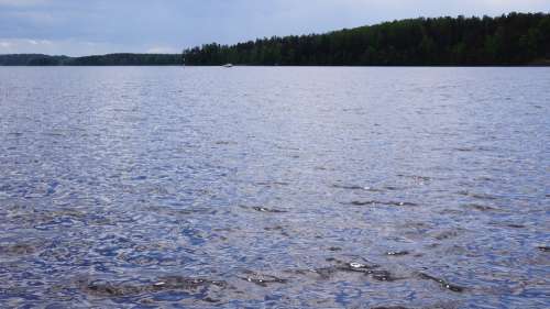 Finnish Lake Beach The Opposite Shore Water Blue