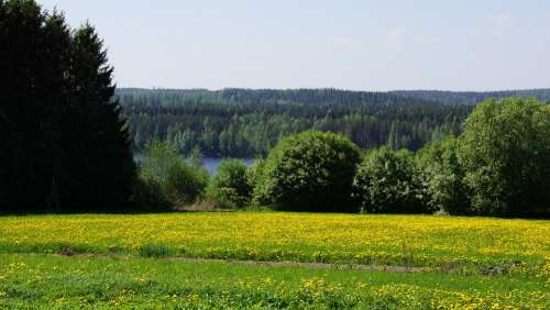 Finnish Landscape Field Forest Tarvaanrannassa