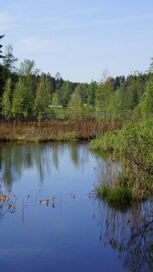 Finnish Landscape Swamp River Wetland Reeds