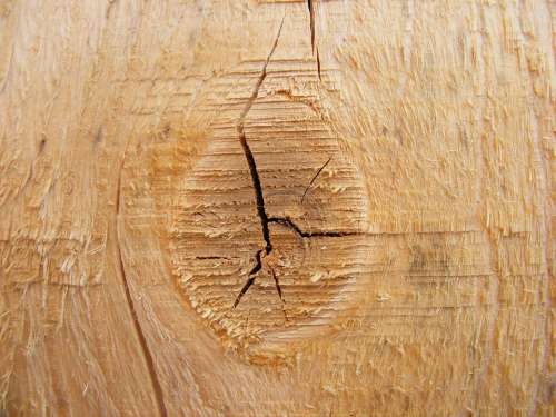 Fir Knot Natural Tree Wood Background-Texture