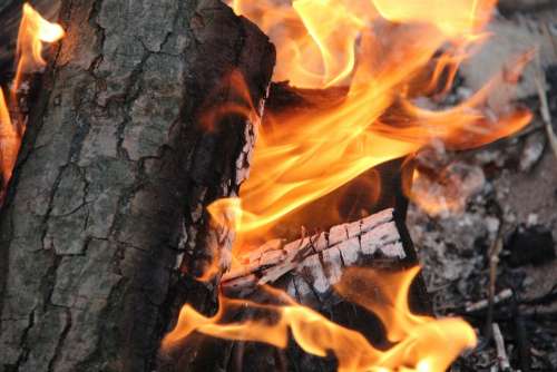 Fire Campfire Flame Burn Blaze Romantic