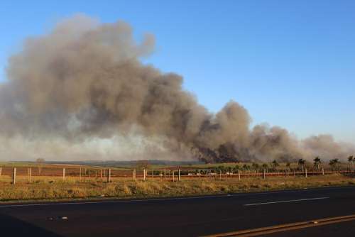 Fire Landscape Burned Environment Plantation