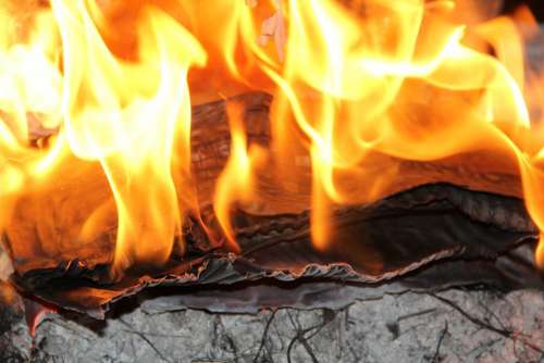 Fire Lena Burn Bonfire Flames Campfire Heat