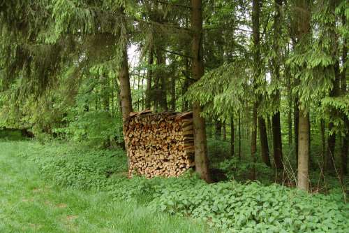 Firewood Holzstapel Stack Combs Thread Cutting