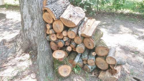 Firewood Wood Wood Pile Wood Heap Stacked Lumber