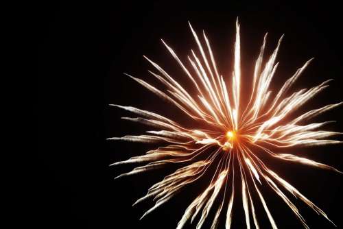 Fireworks Shape Flower Brightness New Year
