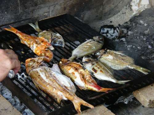 Fish Barbecue Sea Delicious Healthy Fresh Eat