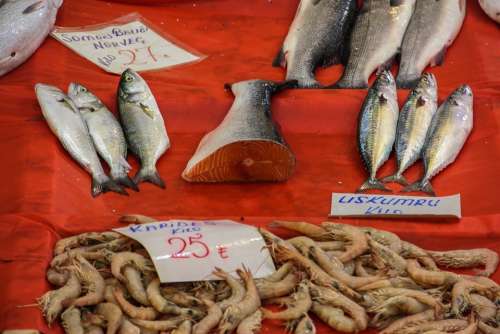 Fish Market Salmon Mackerel Shrimp Buy Trade