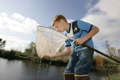 Fish Catches Boy Young Hunting Fishing Sport