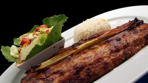 Fish Grilled Restaurant Lunch Delicious Cuisine