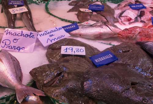 Fish Buy Fish Shop Market Prices