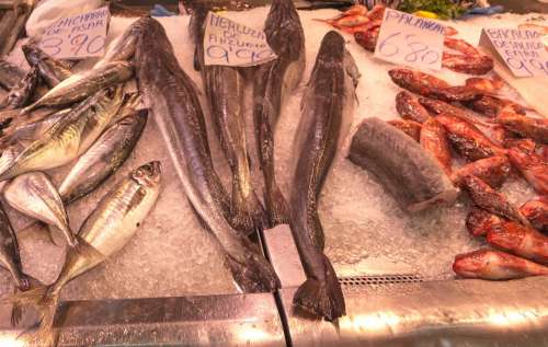 Fish Fish Shop Market Hake Red Mullet Sardines