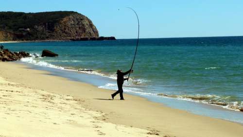 Fish Sea Fishing Catch Fish Passion Algarve
