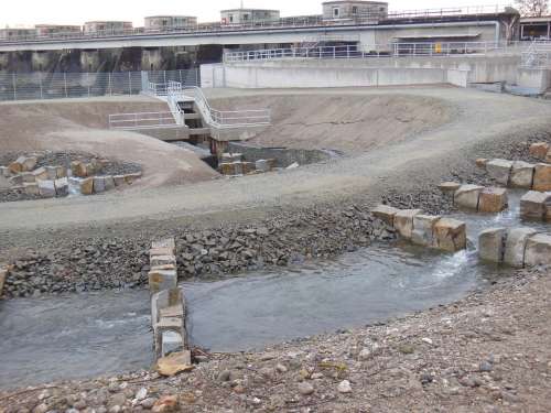 Fish Ladder Ladder Fish Pass Fish Ski Lift