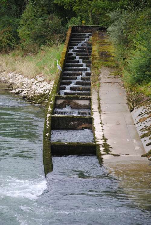 Fish Ladder Fish Pass River Power Plant Villnachern