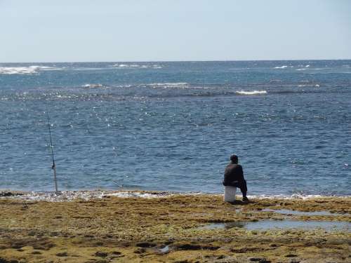Fisherman Man Waiting Sitting Sea Nature Ocean