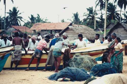 Fishermen People Fisher Fishing Village Colombo