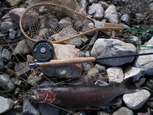 Fishing Rod Reel Fishing-Rod Fish Angling Catch