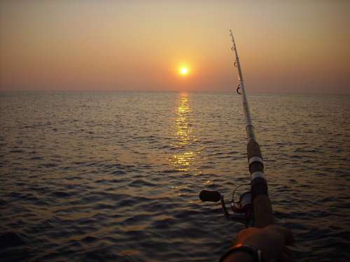 Fishing Fishing Rod Sunset Ocean Sea Lake Outdoor