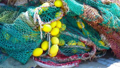 Fishing Net Fishing Web Colorful