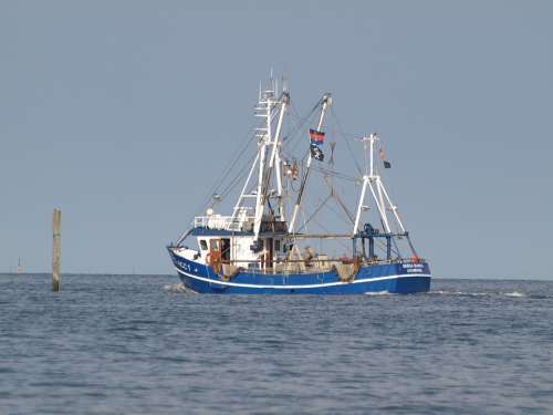 Fishing Vessel Shrimp North Sea Cutter Ship