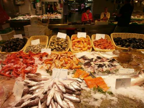 Fishmonger Fish Market Hall Barcelona Fish Stand