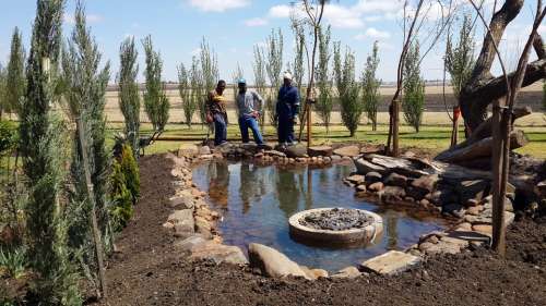 Fishpond Pond Fish Pond Pool Biotope Artificial