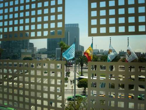 Flags Security Flag Window View City Los Angeles