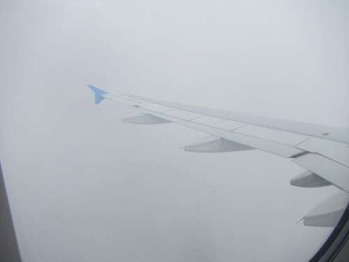 Flight Plane Aircraft Pilot Clouds Sky