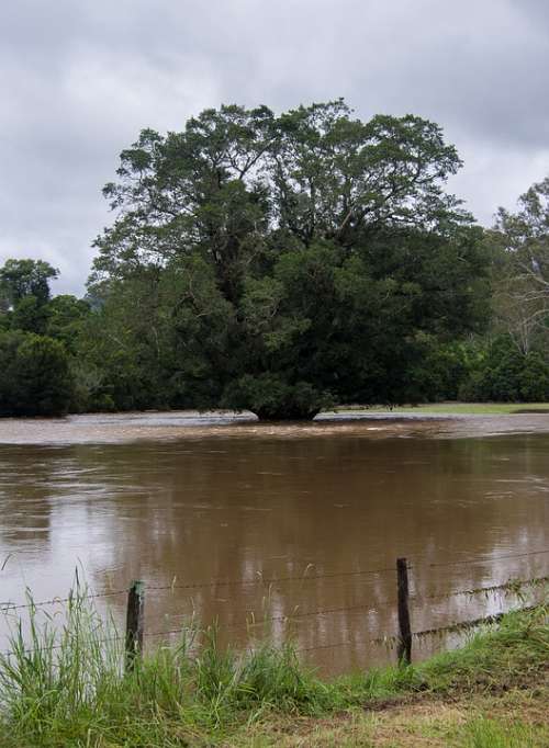 Flood Water River Danger Trees Rural Queensland