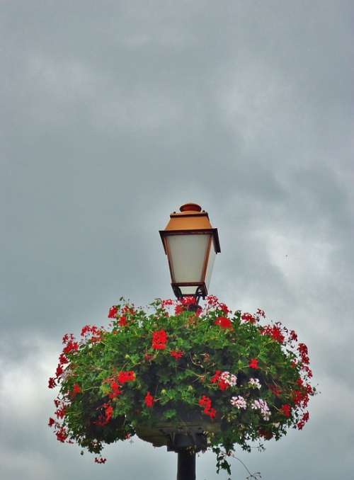 Floor Lamp Flowers Light Sky Nest
