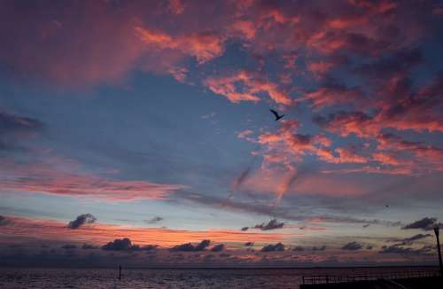 Florida Sunset Colors Colorful Sea Ocean Water