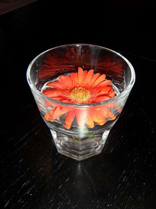 Flower Orange Orange Flower Glass Decoration