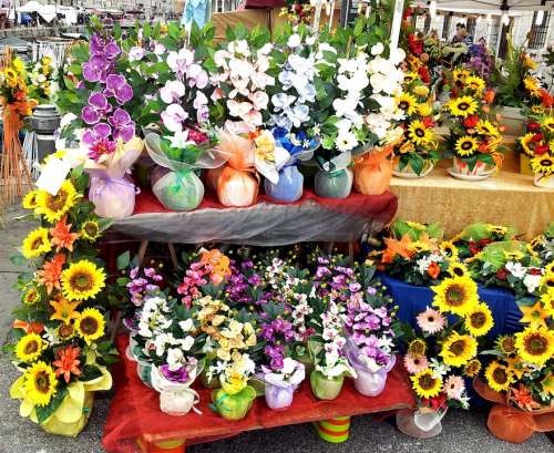 Flower Composition Market Stall Nature Colors