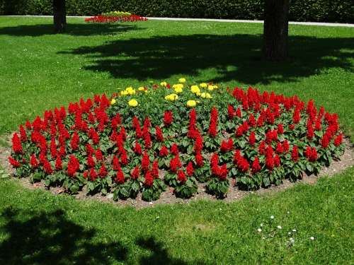 Flower Bed Flowers Red Park