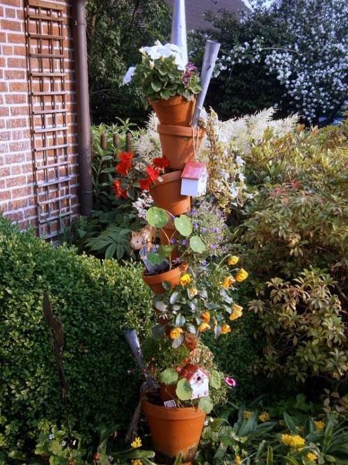 Flower Pots Plant Colorful