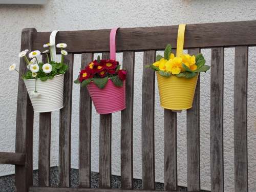 Flowerpot Potted Plant Plant Pot Flower Pot Flowers