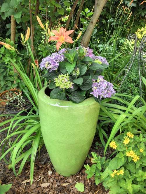 Flowerpot Garden Flower Vase Vase Flowers Bloom